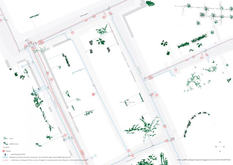 Map of the tiny mosses and ferns growing in Soho from the water supply leakages (gutters …)